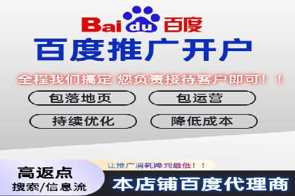 百度推广中的创意策略：成功案例解析与启示